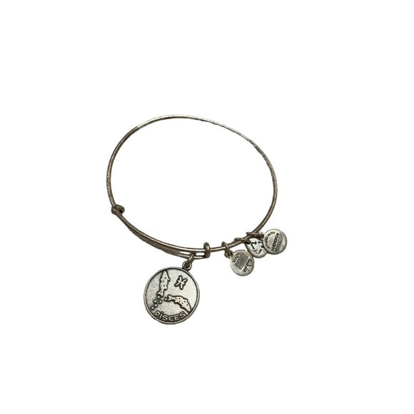 Alex and Ani Jewelry Alex And Ani Bracelet Picses Poshmark